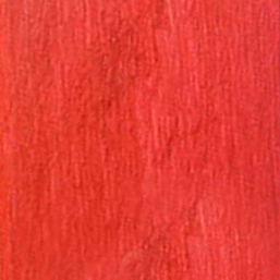 Rot