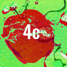 4c farbig (Rücksprache)