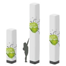 Inflat Quad 60 alle Größen